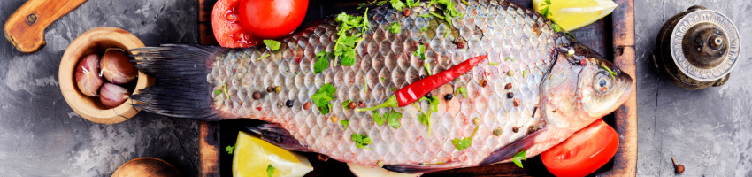 Fisch Spezialitäten Banner